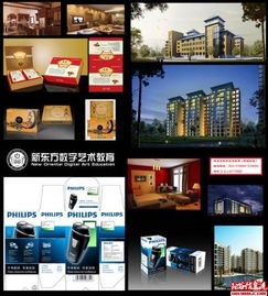 聊城设计软件培训与平面设计 技能提升的黄金指南